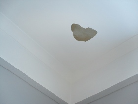 Water Staining