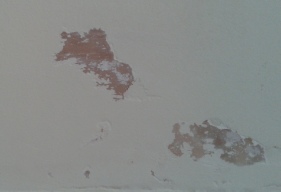 What is Efflorescence