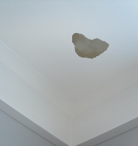 Water Stain on Paint: intelligent-decorating.com