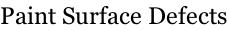 Paint Surface Defects